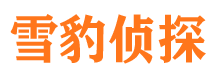 八步市私家侦探